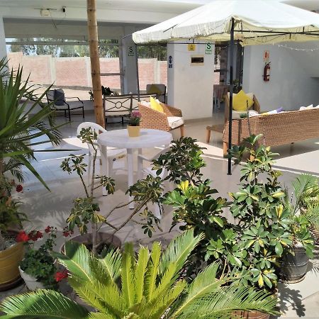 Icthus Paracas Ngoại thất bức ảnh