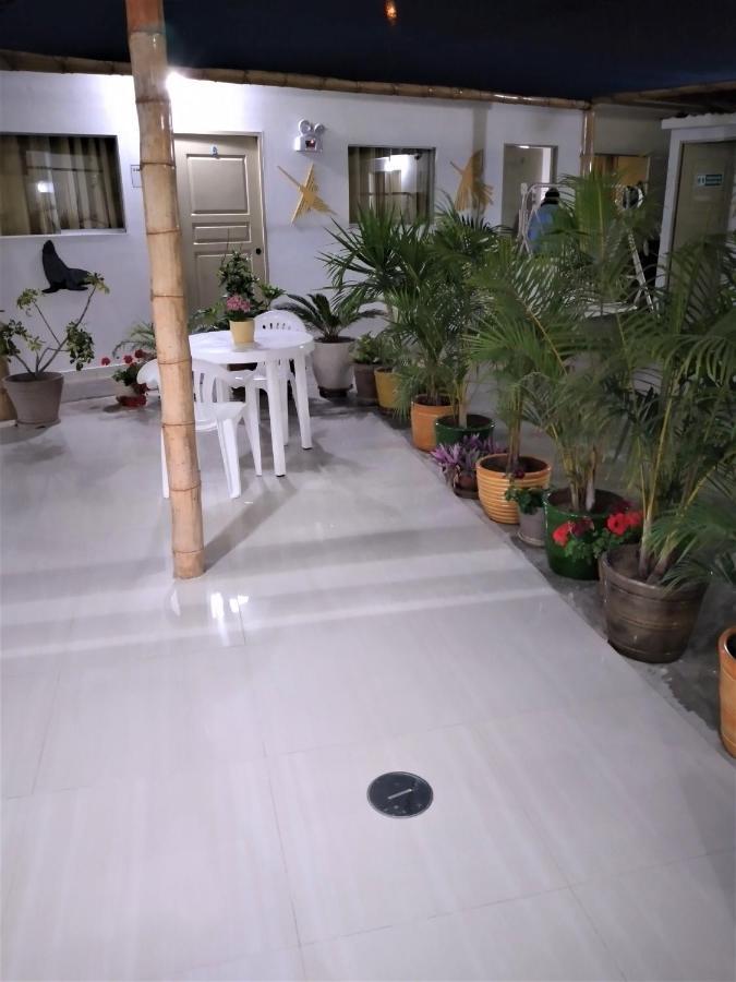 Icthus Paracas Ngoại thất bức ảnh
