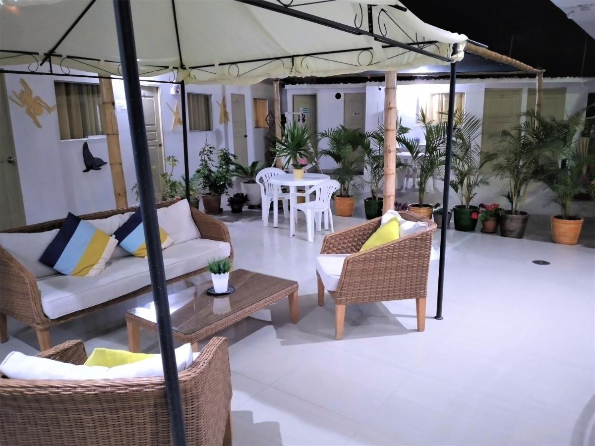 Icthus Paracas Ngoại thất bức ảnh