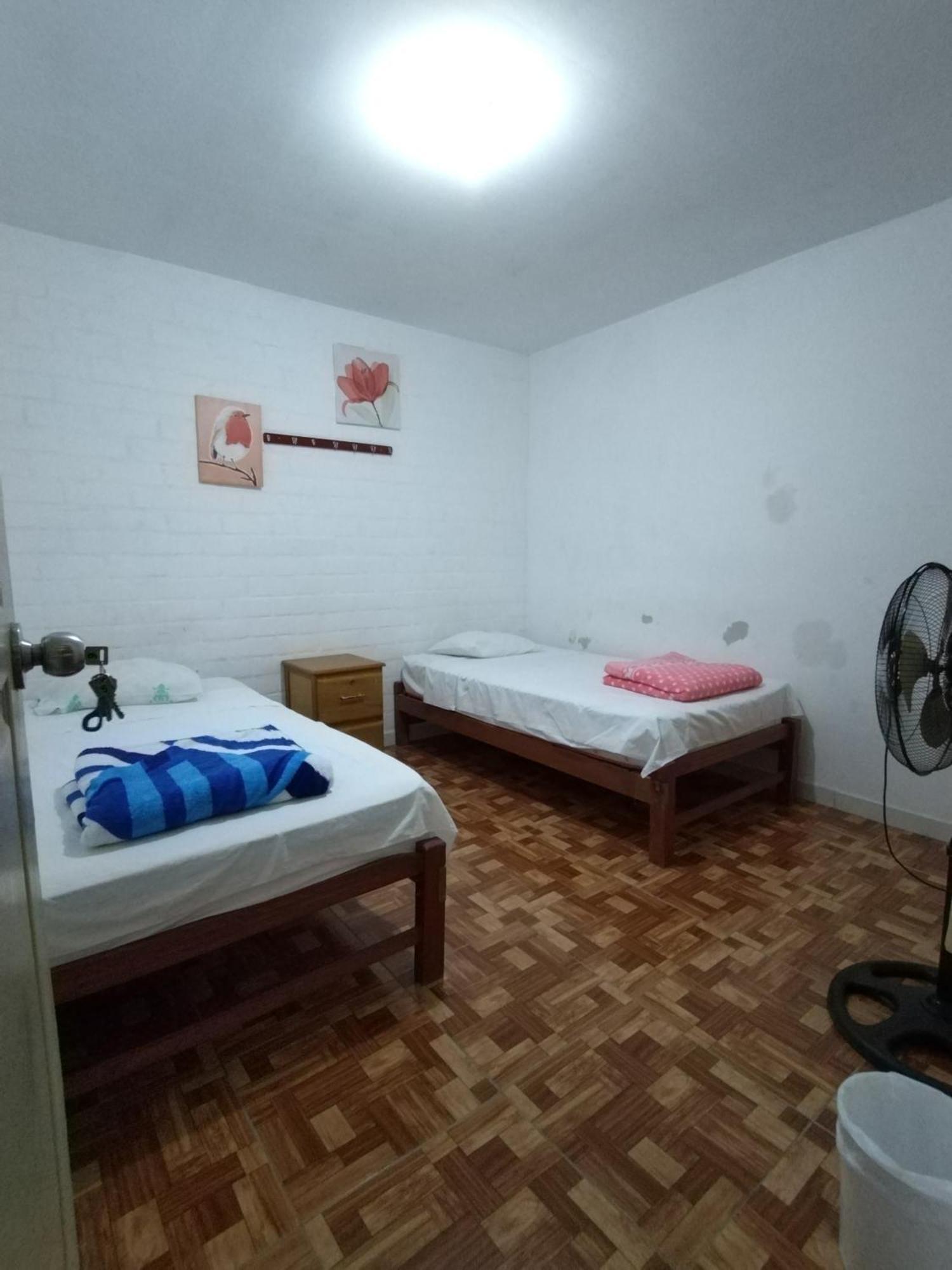 Icthus Paracas Ngoại thất bức ảnh